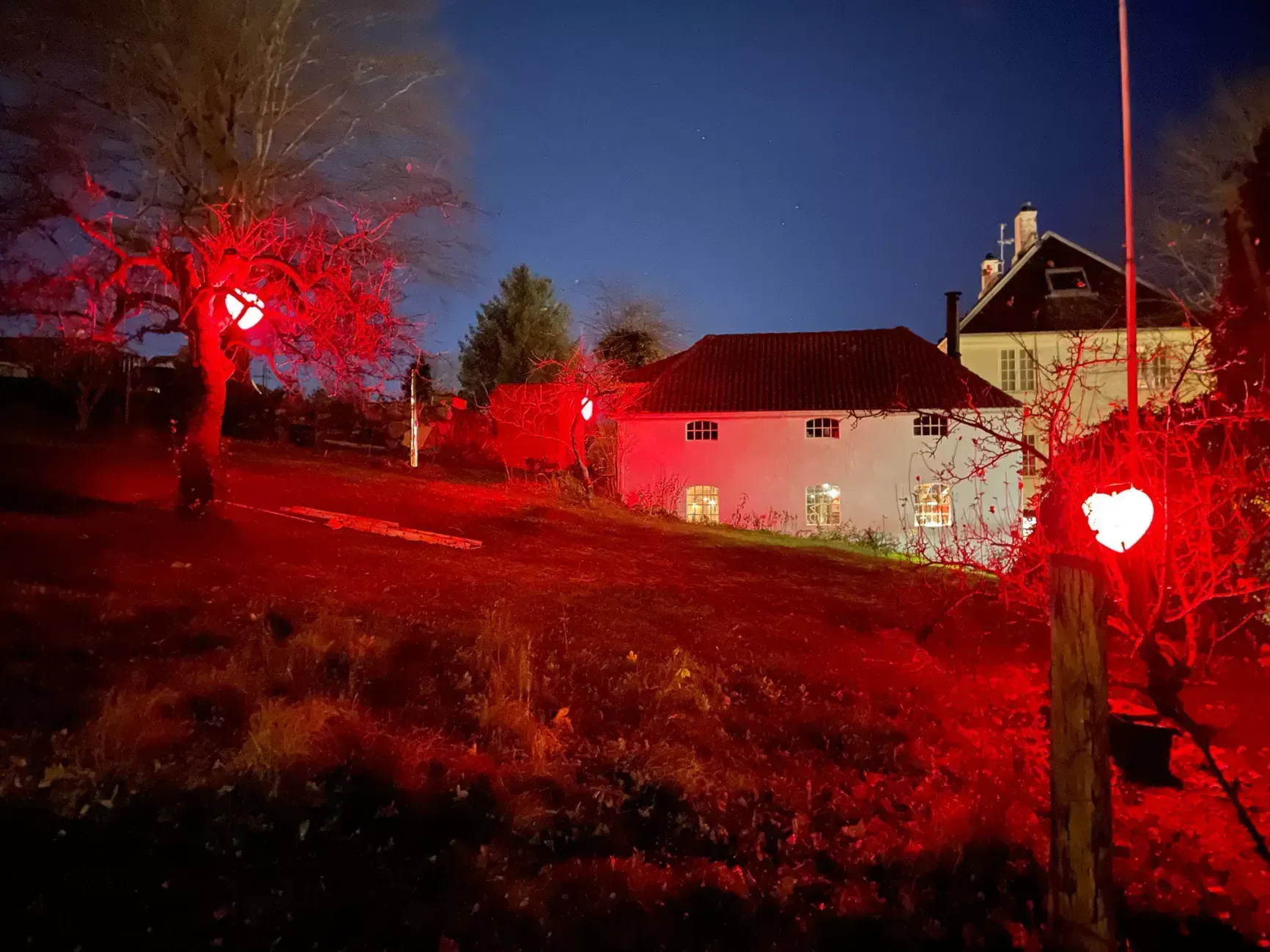 The garden at Strandgata 76 lit up by red heart-shaped lights in the evening